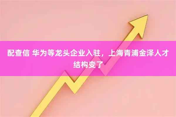 配查信 华为等龙头企业入驻，上海青浦金泽人才结构变了