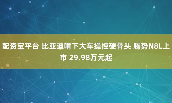 配资宝平台 比亚迪啃下大车操控硬骨头 腾势N8L上市 29.98万元起