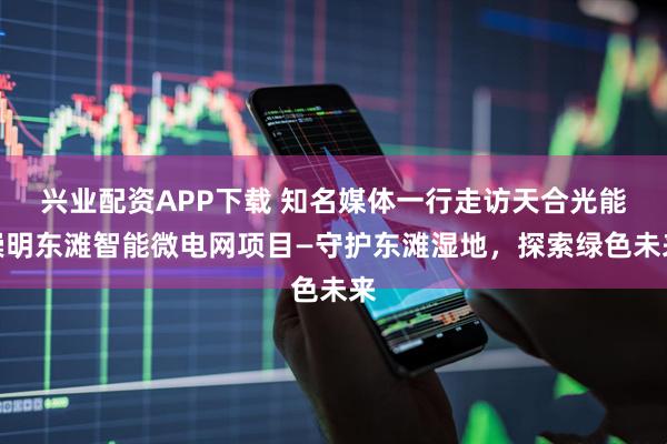 兴业配资APP下载 知名媒体一行走访天合光能崇明东滩智能微电网项目—守护东滩湿地，探索绿色未来