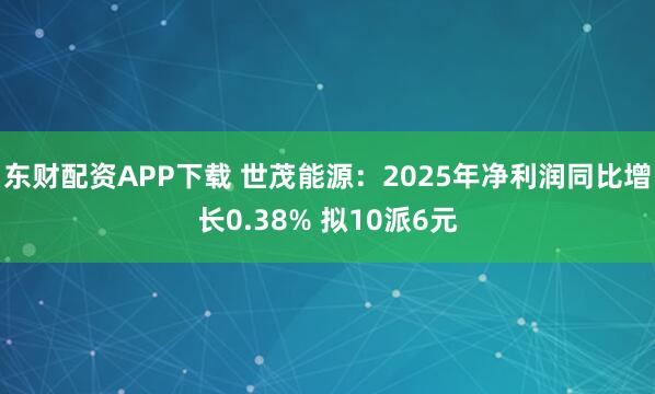 东财配资APP下载 世茂能源：2025年净利润同比增长0.38% 拟10派6元