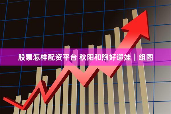 股票怎样配资平台 秋阳和煦好遛娃｜组图